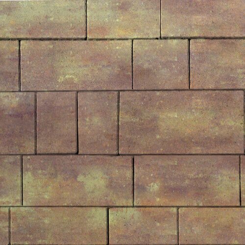 Тротуарная плитка Steinrus Инсбрук Тироль, 60 мм, ColorMix Порто, гладкая (фото 4)